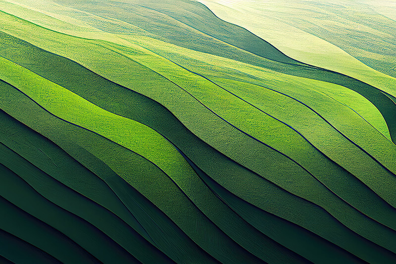 Sustainability Overview